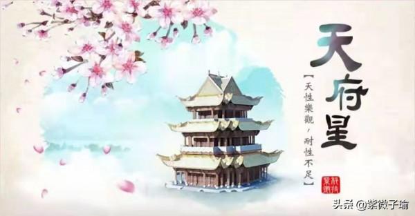 紫微斗數之天府星特性