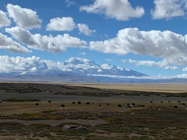 西藏之旅（二十七）走向心中的朝聖地岡仁波齊