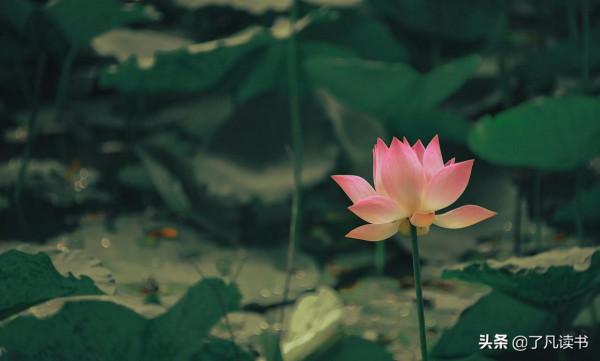 曾仕強教授:把良心和行為結合在一起 曾仕強教授:把良心和行為結合在一起