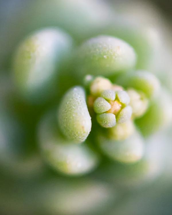 人生,有時不妨來點自嘲,十二首自嘲的詩詞,總有一句適合你 人生,有時不妨來點自嘲,十二首自嘲的詩詞,總有一句適合你