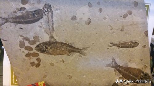 中國最熱門的3大景點，美得耐人尋味，每一個都值得去