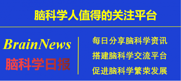 腦科學日報：老年人為何會出現記憶混亂？