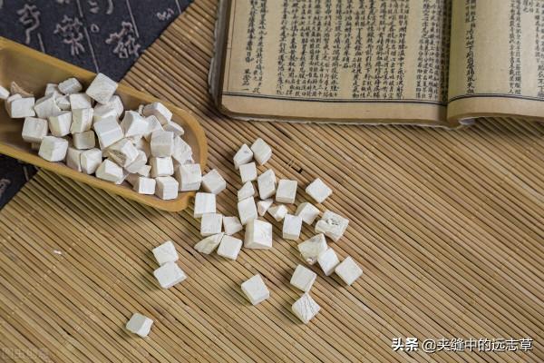 上熱下寒,虛火上炎?送你五味中藥,滋陰補液,引火歸元 上熱下寒,虛火上炎?送你五味中藥,滋陰補液,引火歸元