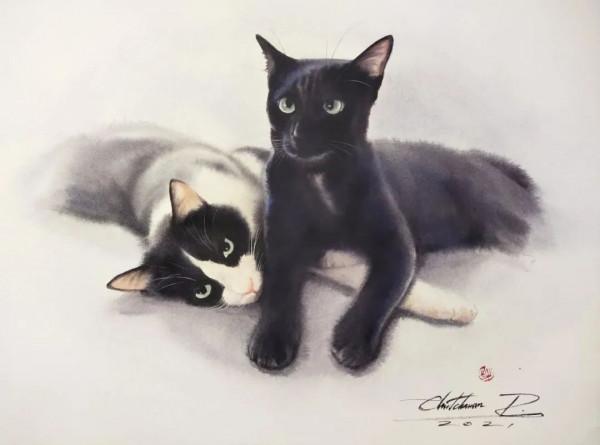 泰國貓王和他的水彩貓帝國