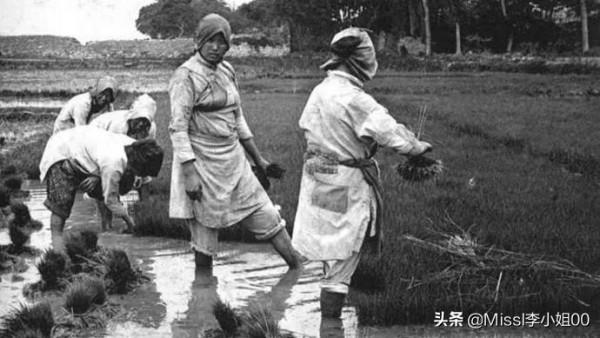 野史記載：袁世凱稱帝期間一個悲催的民間故事