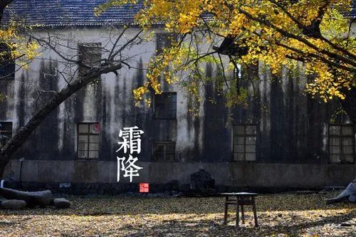 霜降過後如何養生？防秋燥、防寒、防秋鬱