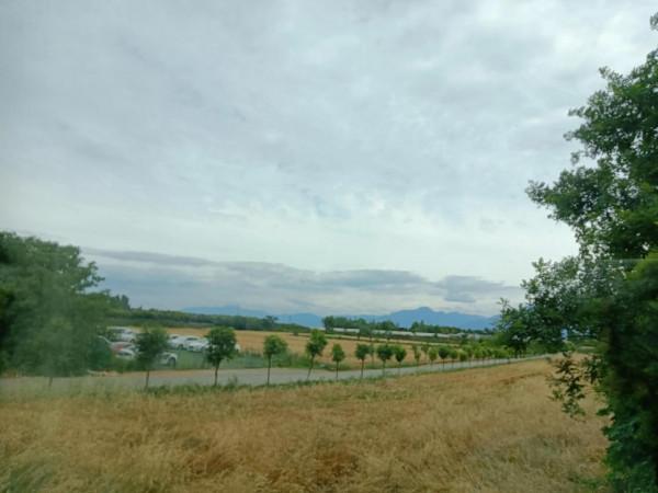 與“殺人狂”擦肩而過