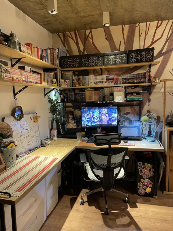 家裡有片雨林是什麼樣的體驗？帶你走進我的室內花園