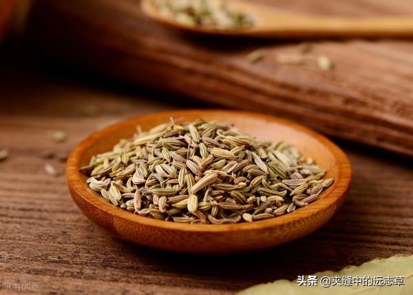 講一味中藥，給冬日裡怕冷的你添一把火，讓你陽氣滿滿