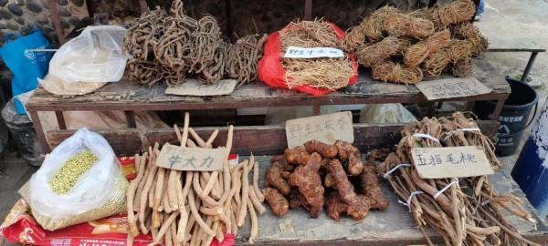 美麗鄉村—溪頭村