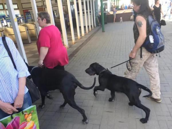 俄羅斯莫斯科莫尼諾航空博物館遊記---（3）火車出發