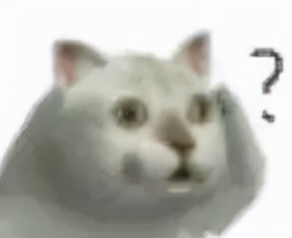 這隻貓天天和貓頭鷹幹架,卻打出了一段黑白配神仙友情 這隻貓天天和貓頭鷹幹架,卻打出了一段黑白配神仙友情