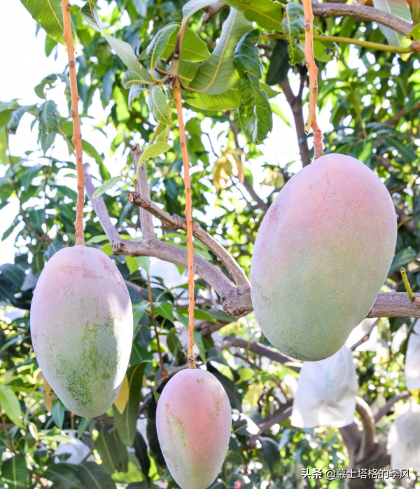 中國最適合避寒過冬的10座城市排行榜,這裡有你的家鄉嗎 中國最適合避寒過冬的10座城市排行榜,這裡有你的家鄉嗎