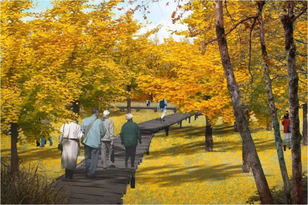 華北地區最大銀杏生態文化園,落戶順義河東這地方 華北地區最大銀杏生態文化園,落戶順義河東這地方