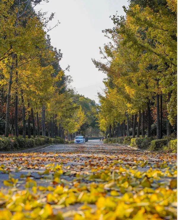週末遊玩地指南！48小時假期就該這麼玩