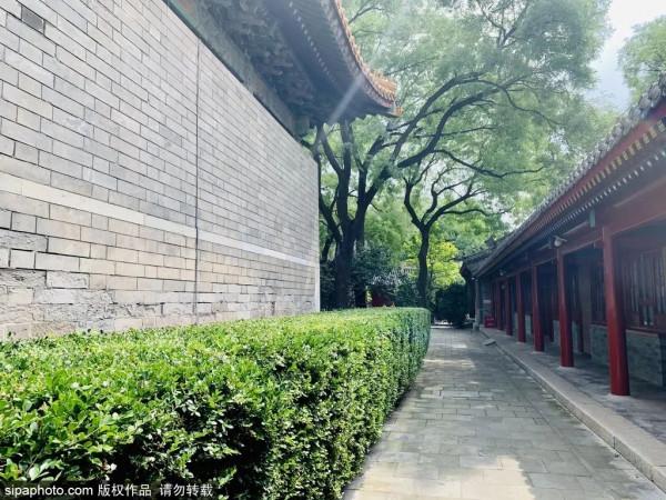 夏日避暑好去處!不出京也能享受清涼,還有免費的! 夏日避暑好去處!不出京也能享受清涼,還有免費的!