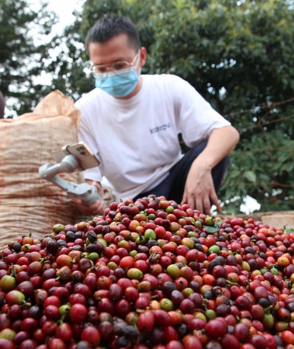 從餐廳老闆到咖啡經銷商——四川小夥張仁全的非洲創業記