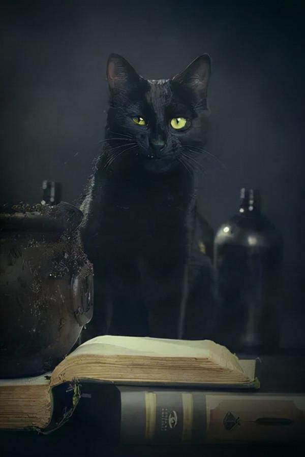 這個萬聖節，屬於喵星人