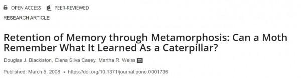 那些讓人&quot&semi;世界觀幻滅&quot&semi;的科學真相，看完覺得，人類真的太渺小了