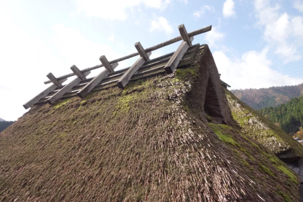 38間破茅草房竟成網紅村，每年30萬人打卡，美麗鄉村怎離得開