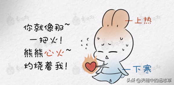 上焦熱下焦寒？送你兩味中藥，既可清上溫下，又能引火歸元