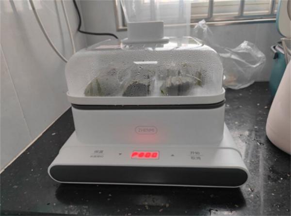 建議大家：新的一年給家裡配齊這4件小家電，提升生活幸福感