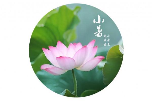 2021年的節氣圖分享