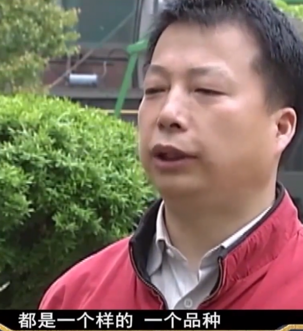 2009年，湖南20只相思鳥集體“自殺”，莫非鳥殉情的傳聞是真的？