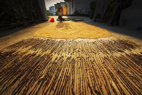 國慶長假去哪兒？這9個地方秋光乍洩，美到勾魂