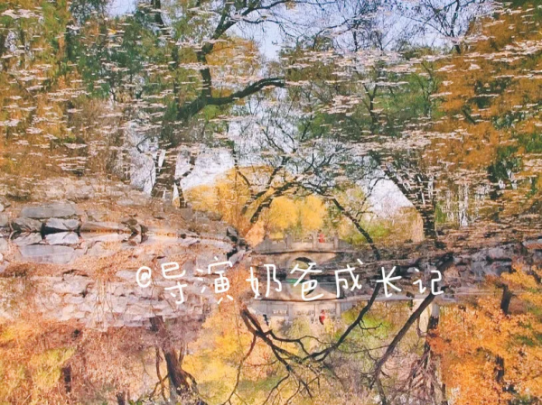 秋天去戶外玩兒樹葉,效果勝過任何早教班啊 秋天去戶外玩兒樹葉,效果勝過任何早教班啊