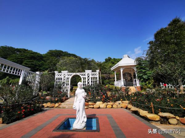 雲臺花園花的海洋