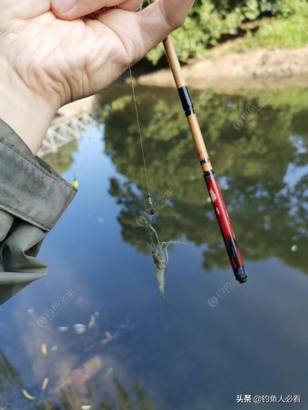 那個釣蝦仔又來了，順便開光新做的小物竿