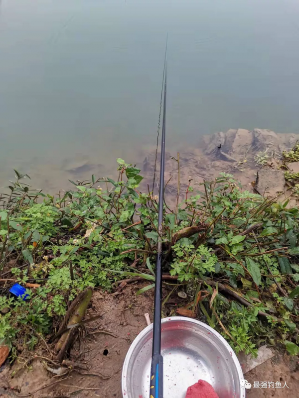終於可以釣一次魚了，我的心情只有全國釣友能理解