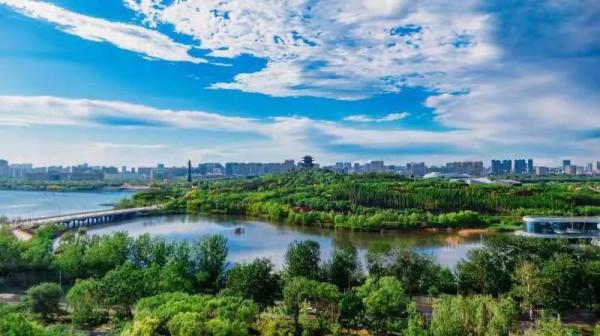 武林風起，豪氣滿唐！武林風18週年王炸來襲