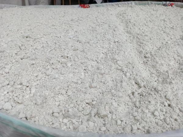 今年的紅薯產量真高，大豐收咯