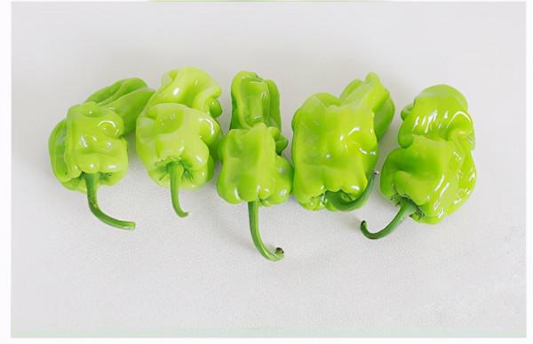 皺皮辣椒怎麼做好吃? 皺皮辣椒怎麼做好吃?