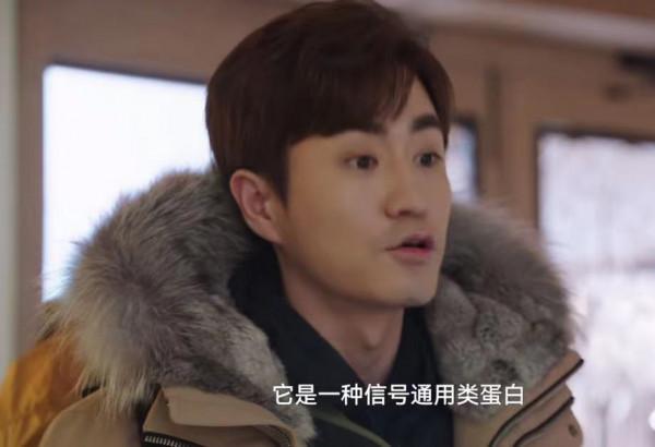 《假日暖洋洋2》開播，劉濤陳赫主演，倪大紅倪萍作陪，煙火味濃