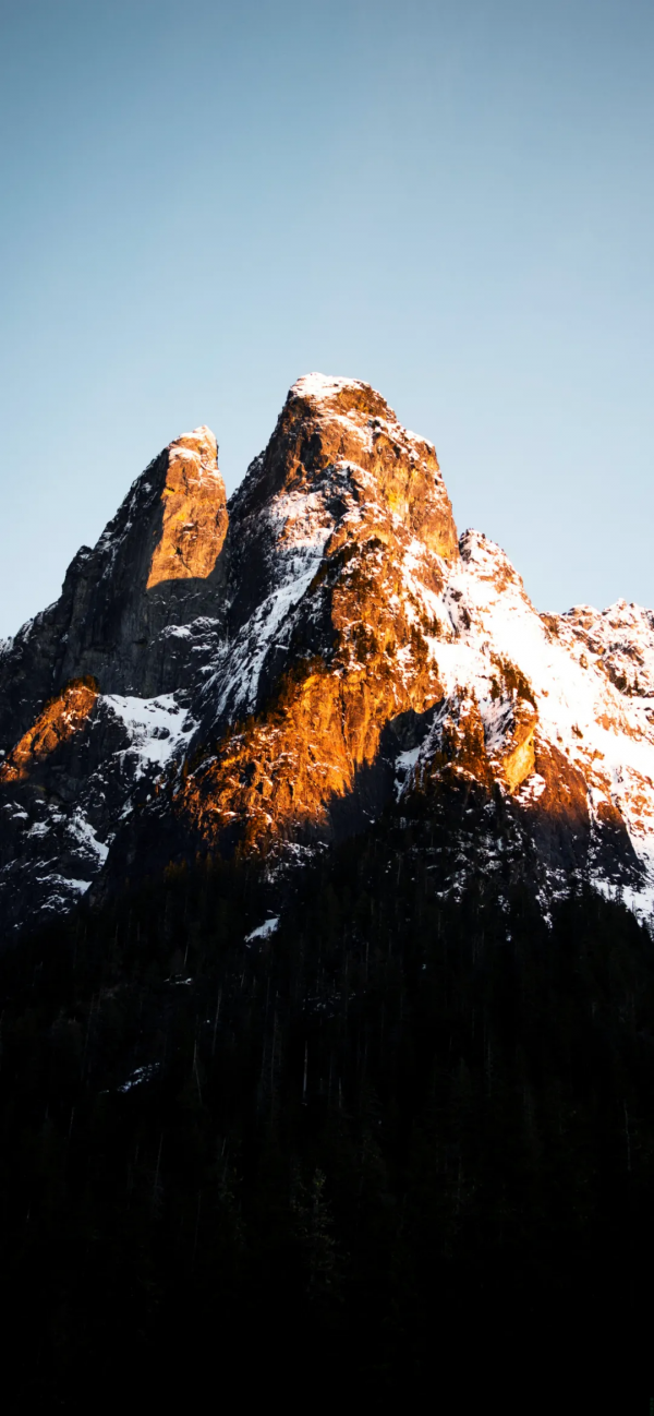 桌布：今天的桌布很好看