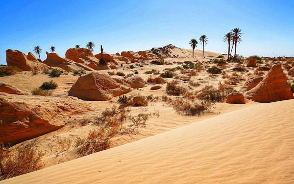 全國50%以上女性體重超標並且還有80萬奴隸的國家——毛塔 全國50%以上女性體重超標並且還有80萬奴隸的國家——毛塔