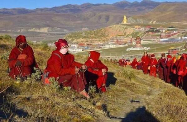 中國最大的尼姑島：2萬多女性靜修，一到夜晚實施一條嚴格規定