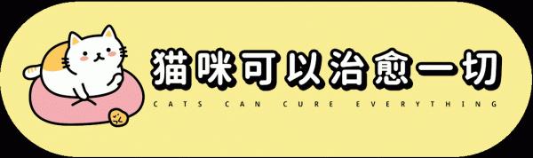 貓放一個屁,全家吃不下飯!真的好臭啊啊啊啊啊 貓放一個屁,全家吃不下飯!真的好臭啊啊啊啊啊