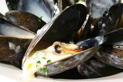 如何辨別海鮮的新鮮與否