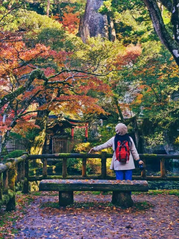 逛逛日本 &vert; 一券在手 遊走日本升龍道夢之旅