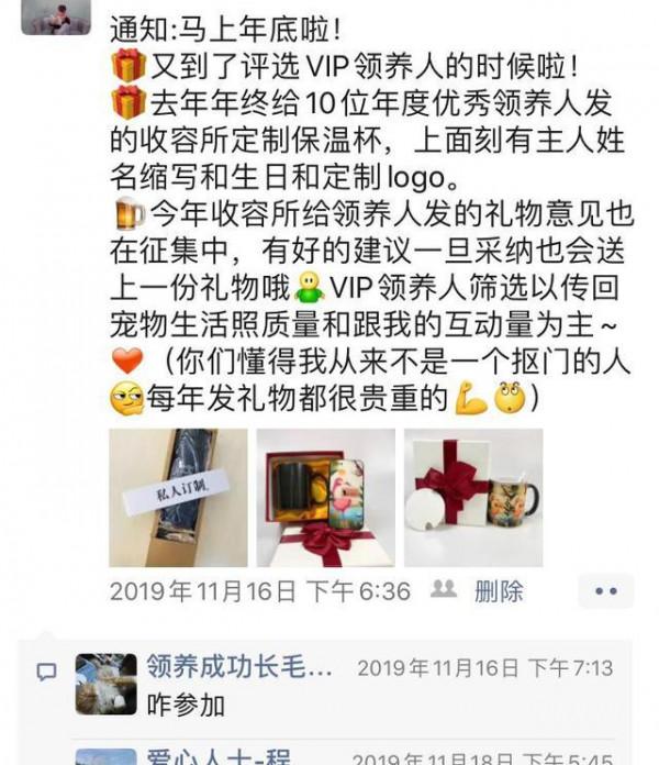 因為一個虐貓影片，我想聊聊我的工作和倒閉的收容所