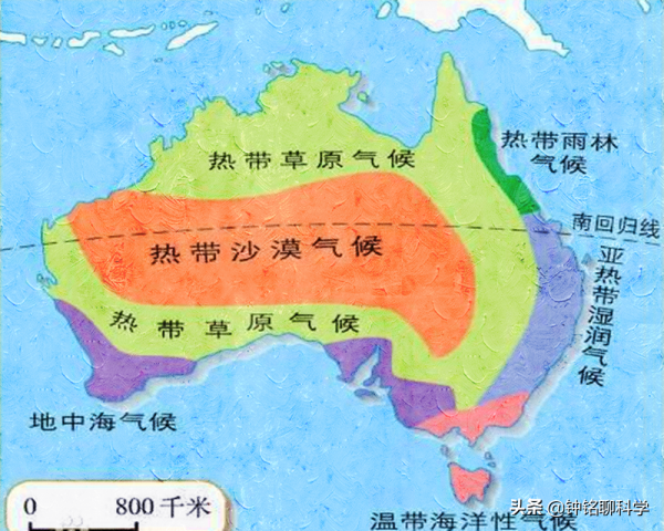 突發!澳大利亞又現森林野火,茂盛的桉樹為何喜歡“引火燒身”? 突發!澳大利亞又現森林野火,茂盛的桉樹為何喜歡“引火燒身”?