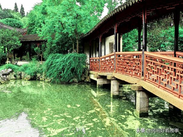 書生得罪螞蟻 兩次被報復 還差點喪失性命 書生得罪螞蟻 兩次被報復 還差點喪失性命