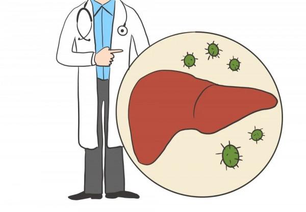 慢性乙肝自然恢復的三種可能