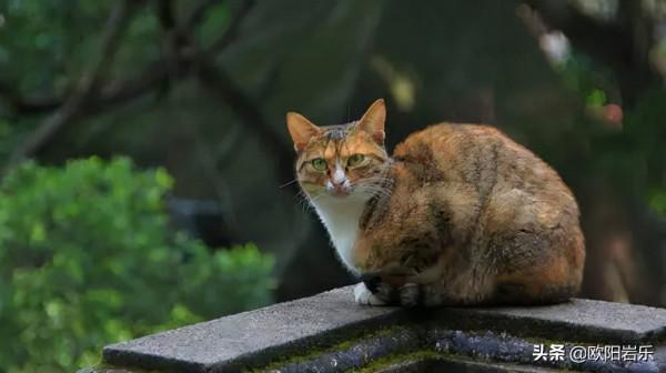 適合情侶的6處旅行地，帶TA一起去吧！浪漫時刻都會印在心底