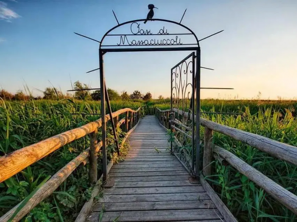 在你的記憶中是否有那麼一條小徑讓你難以忘懷？