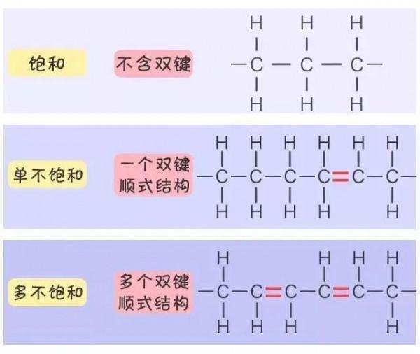 關於東亞人身高:發育成長的終點 關於東亞人身高:發育成長的終點